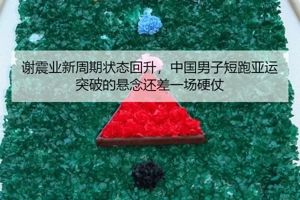 谢震业新周期状态回升，中国男子短跑亚运突破的悬念还差一场硬仗